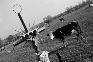 Fot. Justyna Sierakowska