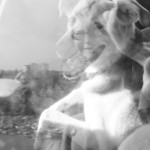 Fot. Justyna Sierakowska