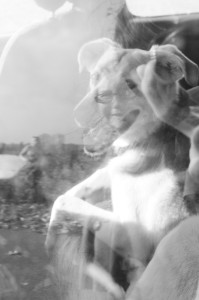 Fot. Justyna Sierakowska