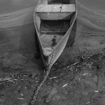 Fot. Justyna Sierakowska