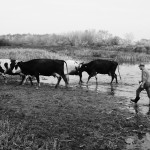 Fot. Justyna Sierakowska