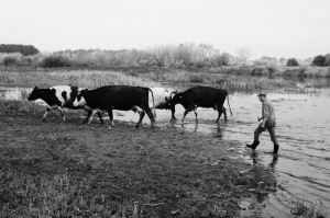 Fot. Justyna Sierakowska