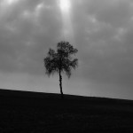 Fot. Justyna Sierakowska