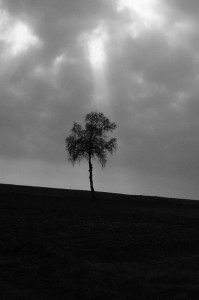 Fot. Justyna Sierakowska