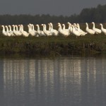 Fot. Katarzyna Kalinowska