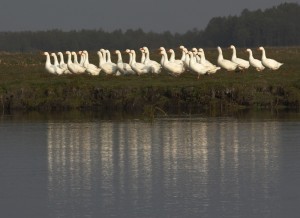 Fot. Katarzyna Kalinowska