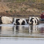 Fot. Katarzyna Kalinowska