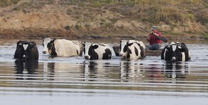 Fot. Katarzyna Kalinowska