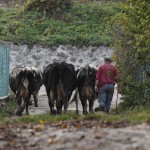 Fot. Katarzyna Kalinowska