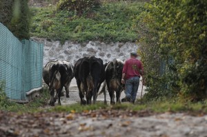 Fot. Katarzyna Kalinowska