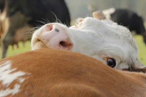 Fot. Katarzyna Kalinowska