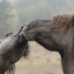 Fot. Katarzyna Kalinowska