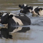 Fot. Katarzyna Kalinowska