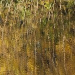 Fot. Katarzyna Kalinowska