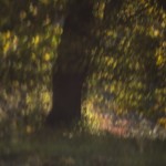 Fot. Katarzyna Kalinowska