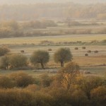 Fot. Katarzyna Kalinowska