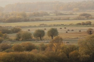 Fot. Katarzyna Kalinowska