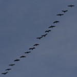 Fot. Katarzyna Kalinowska