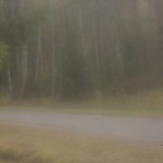 Fot. Katarzyna Kalinowska