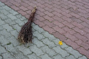 Fot. Marek Pochylski