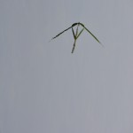 Fot. Marek Pochylski