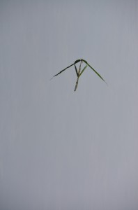 Fot. Marek Pochylski