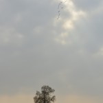 Fot. Marek Pochylski