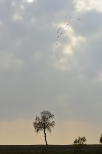 Fot. Marek Pochylski