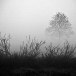 Fot. Marek Pochylski