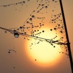 Fot. Marek Pochylski