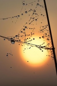 Fot. Marek Pochylski