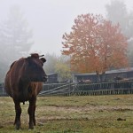 Fot. Marek Pochylski