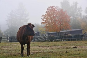 Fot. Marek Pochylski