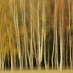 Fot. Marek Pochylski