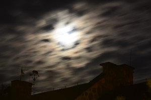 Fot. Marek Pochylski