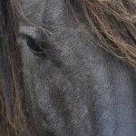 Fot. Marek Pochylski