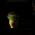 Fot. Marek Pochylski