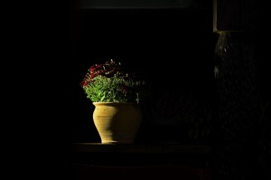 Fot. Marek Pochylski