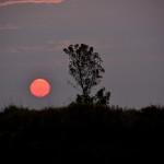 Fot. Marek Pochylski