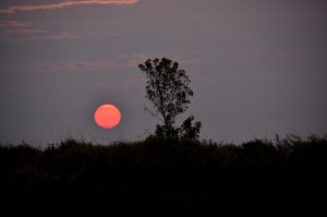 Fot. Marek Pochylski