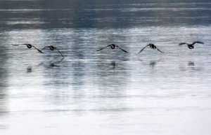 Fot. Marek Pochylski