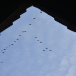 Fot. Marek Pochylski