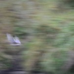 Fot. Marek Pochylski