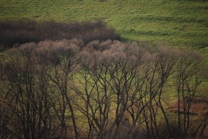 Fot. Arkadiusz Ociepka