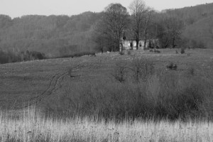 Fot. Małgorzata Juchnikowska