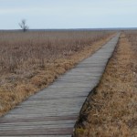 Fot. Karolina Bekker