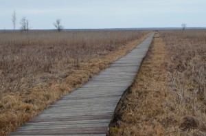 Fot. Karolina Bekker