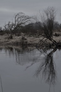 Fot. Karolina Bekker