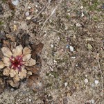 Fot. Karolina Bekker