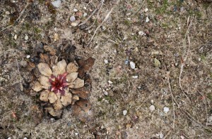 Fot. Karolina Bekker